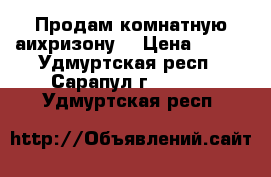 Продам комнатную аихризону. › Цена ­ 200 - Удмуртская респ., Сарапул г.  »    . Удмуртская респ.